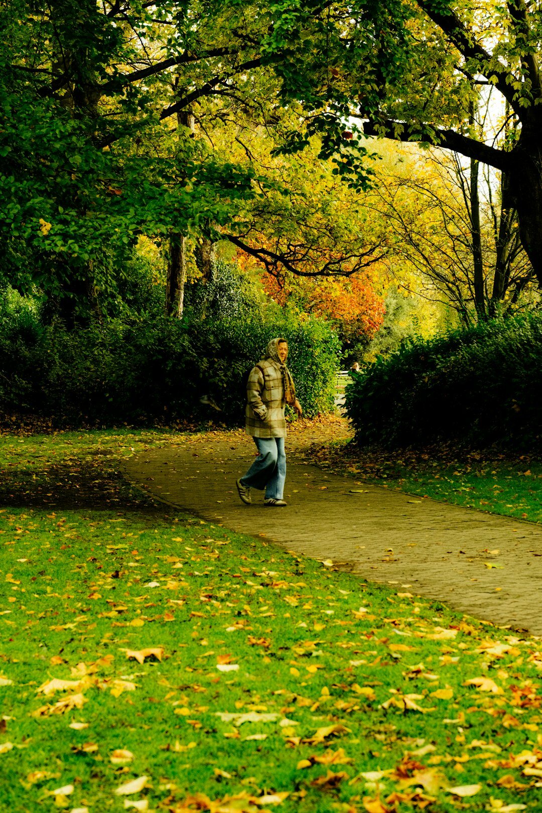 person walking in nature path